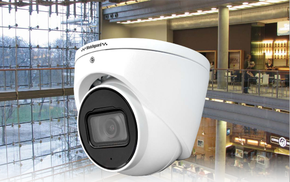 L Series Fixed Dome CCTV Cameras